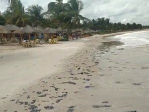 Menino de cinco anos desaparece em praia de Coruripe