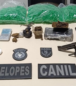 PM apreende 27 armas e 33kg de drogas durante a semana em AL