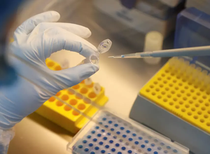 Covid-19: Emílio Ribas inicia testes da vacina Coronavac nesta quinta