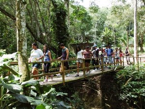 Após vistoria e manutenção, Parque Municipal reabre para visitas