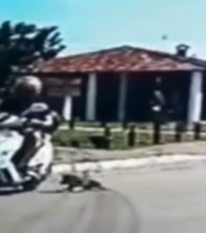 [Vídeo] Estou em processo de separação, diz mulher que arrastou cachorro em moto