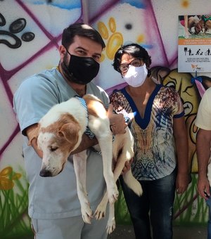 [Vídeo] Cães e gatos de instituições em Arapiraca  são castrados por projeto do Deputado Tarcizo Freire