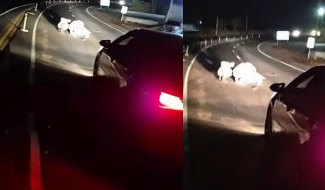 Motociclista fica ferido após queda na AL-115, em Palmeira dos Índios