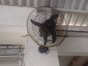 Cobra é capturada dentro de escola em União dos Palmares