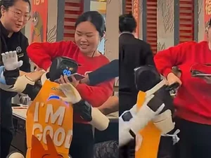 Robô falha em dança temática e causa caos em restaurante