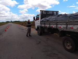 BPRv e BPTran realizam operações nas rodovias