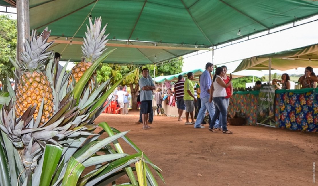 I Festival do Abacaxi reune produtores de sete municípios do Agreste