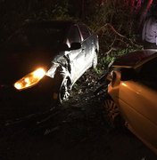Árvore cai em pista e causa acidente de trânsito em Marechal Deodoro