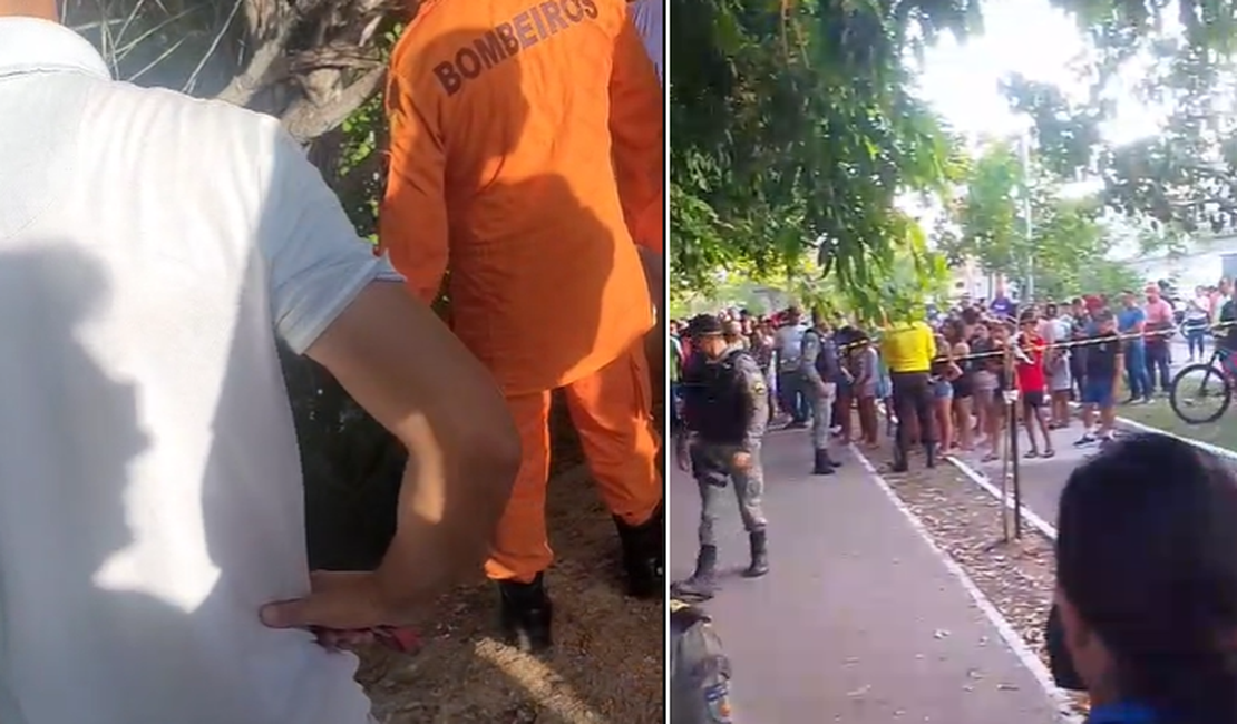 Corpo encontrado no Bosque das Arapiracas pode ser de mulher desaparecida