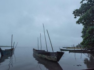 Coordenador do IMA explica fenômeno de mortandade de peixes na Lagoa Mundaú