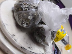 Dupla é flagrada com drogas em transporte complementar em Matriz de Camaragibe