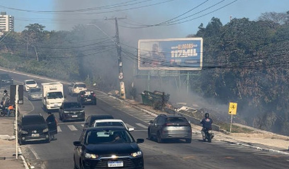 Incêndio atinge vegetação e mobiliza Bombeiros na Avenida Rotary, em Maceió