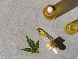 Da marginalização ao SUS: como a Cannabis Medicinal vem mudando vidas em Alagoas