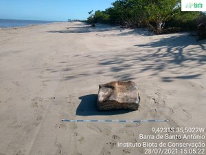 Em apenas um dia mais 8 novos fardos foram encontrados em Maceió e no litoral norte