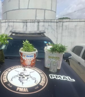 Polícia Militar apreende 5kg de drogas e descobre plantação de maconha em Maceió