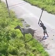 [Vídeo] Jovem flagrado agredindo cavalo a pauladas se apresenta à polícia