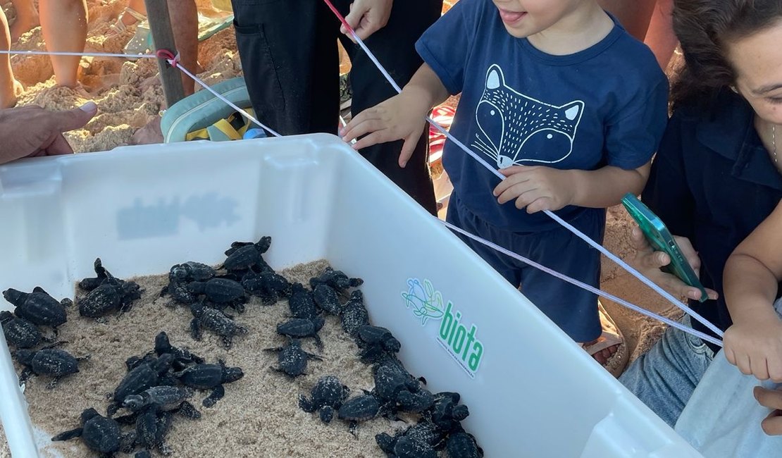 Filhotes de tartarugas marinhas são soltos na praia de Guaxuma e encantam crianças