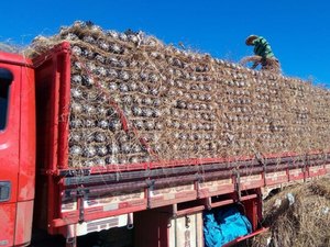 Com apoio do Governo, associação alagoana ganha mercado nacional 