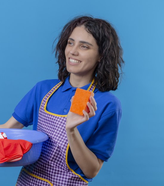 De invisível a empreendedora: a virada silenciosa das pequenas empresas de faxina no Brasil