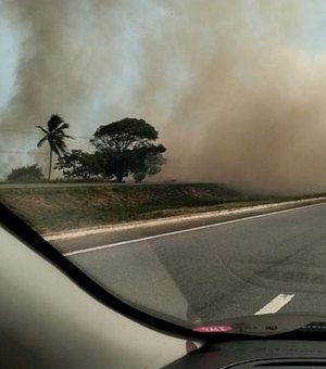 CB debela fogo em vegetação de Marechal Deodoro