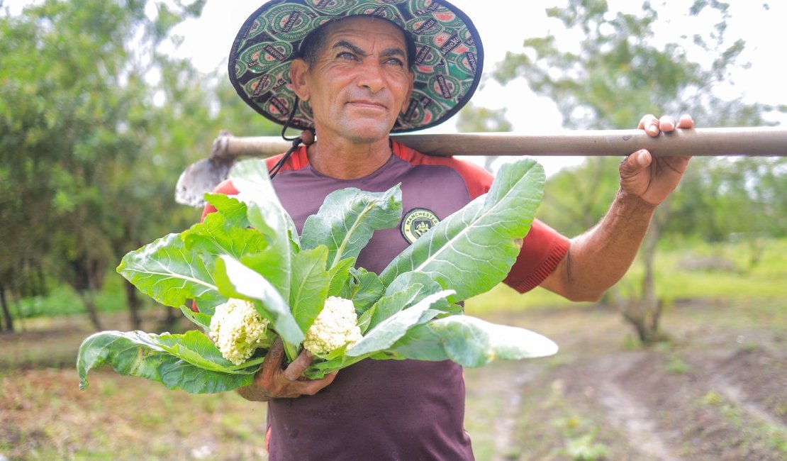 Prefeitura de Arapiraca vai investir R$ 2,9 milhões e ampliar em 150% a compra de produtos agrícolas