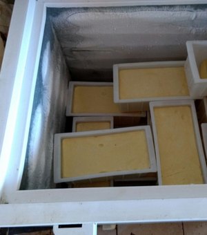 Fiscalização apreende uma tonelada de queijo e flagra laticínio com diversas irregularidades