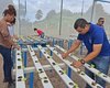 Vestibular 2025 para Tecnologia em Horticultura no IFAL Maragogi tem inscrições gratuitas até domingo (19)