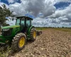 Após cerca de 20 anos, agricultores da Ponta Mofina em Penedo voltam a plantar arroz