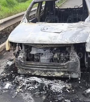 Carro incendia na BR-101 no município de Colônia Leopoldina