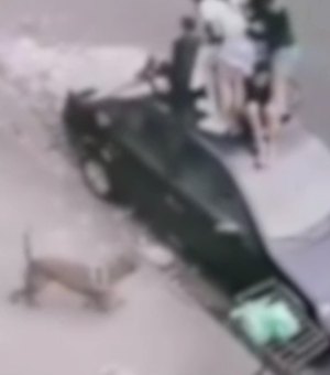 Crianças sobem em teto de carro para fugir de ataque de pitbull; Uma delas foi mordida