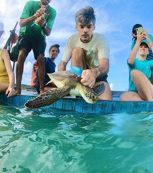 Pesquisadores iniciam esta semana estudos de tartarugas na Costa dos Corais