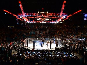 Retornos e revanches: 11 lutas para aguardar em 2016