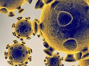 Estudos descobrem nova via de entrada do coronavírus no corpo