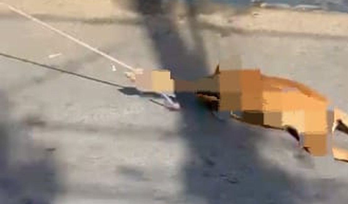 Polícia Civil investiga caso de cachorro arrastado por carroça de burro em Palmeira