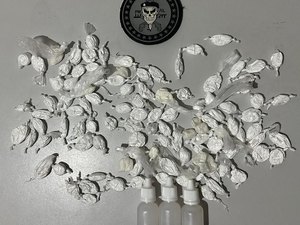 Adolescente é apreendido com mais de 100 papelotes de cocaína em Arapiraca