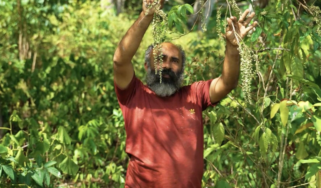 Produção agroecológica em Maceió impulsiona renda, afirma secretário de Agricultura