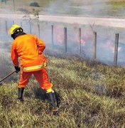 Fumaça de incêndio em vegetação causa acidentes na BR-101 