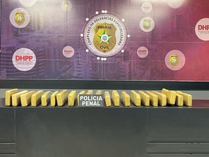Polícia apreende 20 kg de maconha durante operação integrada, em Rio Largo