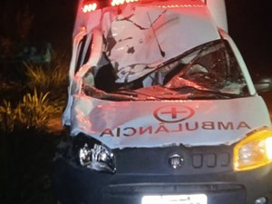 Ambulância colide em dois cavalos e deixa feridos em Paulo Jacinto