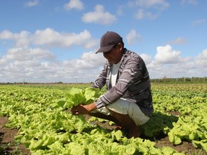 Prefeitura de Arapiraca lança feira que coloca o município no calendário agro nacional