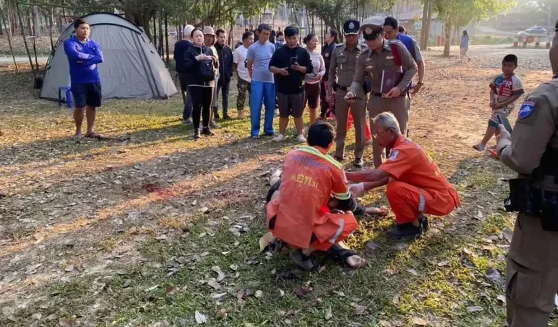 Elefante pisoteia e mata três pessoas em parque na Tailândia