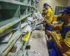 Correios triplicam prejuízo e anotam pior resultado da história, com rombo de R$ 8,5 bilhões