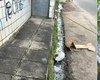 Corpo esquartejado é encontrado dentro de saco plástico no bairro do Jacintinho