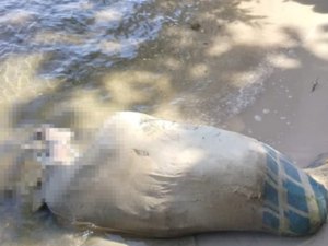 Corpo com fio enrolado no pescoço é encontrado dentro de saco na Lagoa Manguaba