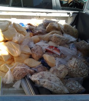 Vigilância Sanitária apreende 300 kg de alimentos vencidos em supermercados de Maceió
