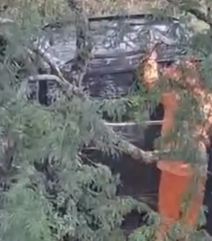 Motorista perde controle de caminhonete e cai em ribanceira na AL-220, em Batalha