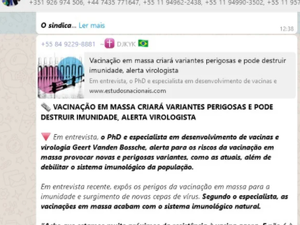 Sites bolsonaristas produzem propaganda para desencorajar vacinação