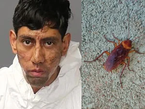 Homem surpreende polícia e diz que barata o convenceu a cometer crime