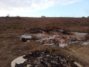 [Vídeo] Fogo em vegetação em área próxima a conjuntos habitacionais prejudica moradores de Arapiraca