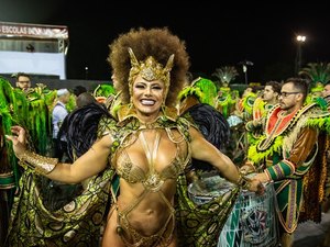 Pela primeira vez, Mancha Verde é campeã do Carnaval de São Paulo